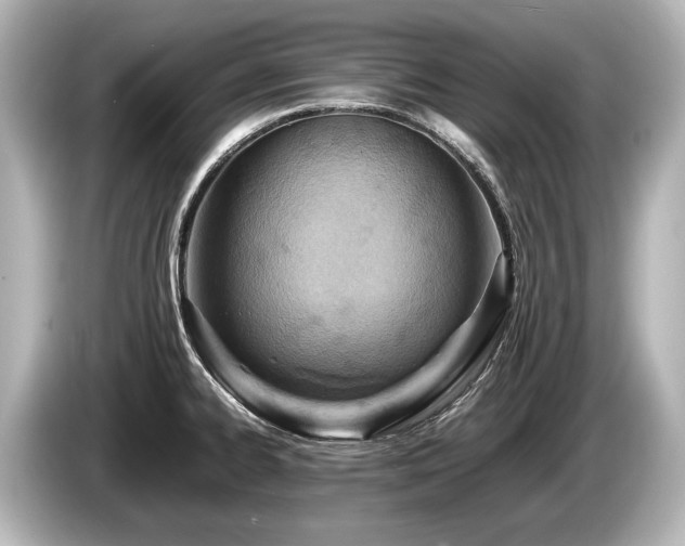 X0000085751334200703161045