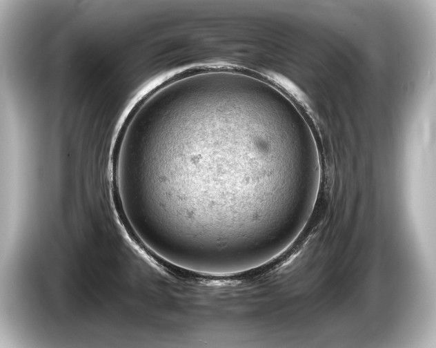 X0000085751335200703161045