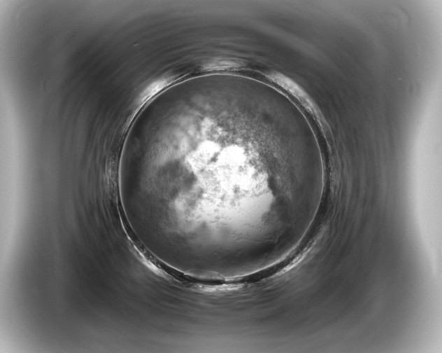 X0000085751337200703161045