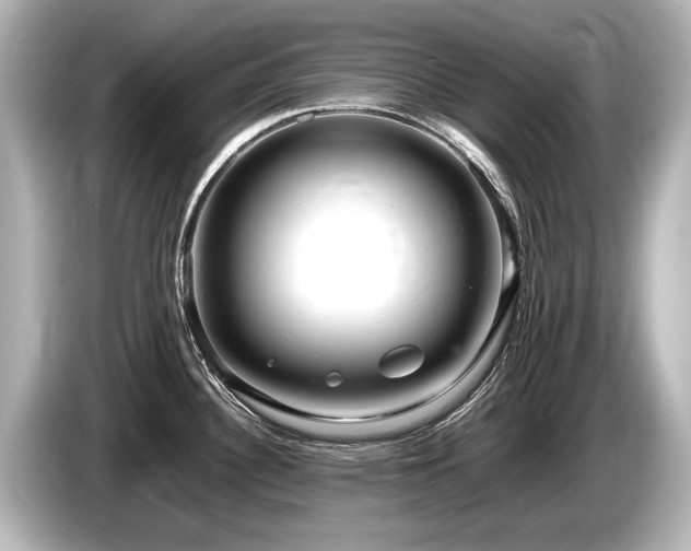 X0000085751340200703161045