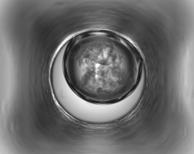 X0000085751342200703161045