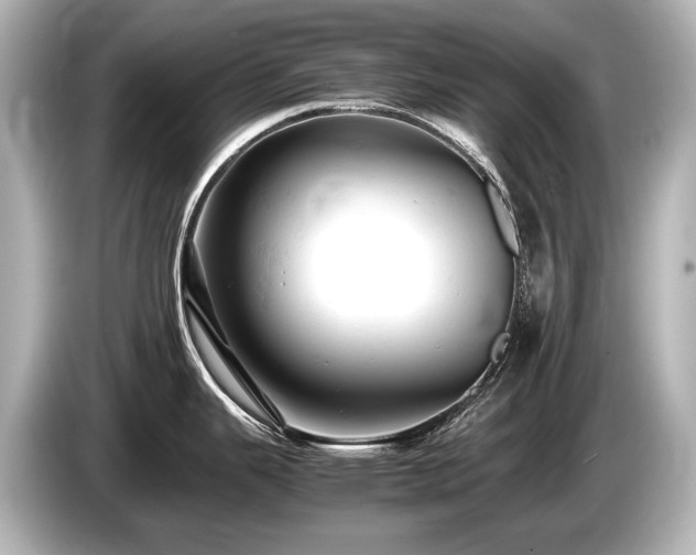 X0000085751343200703161045