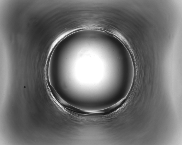X0000085751344200703161045