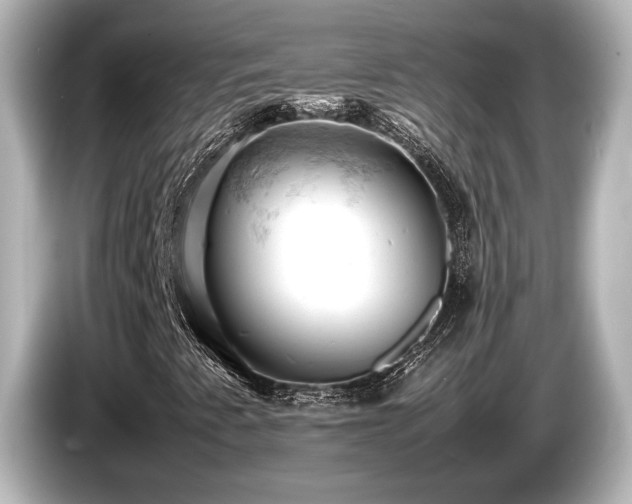 X0000085751345200703161045