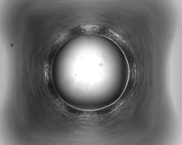 X0000085751346200703161045