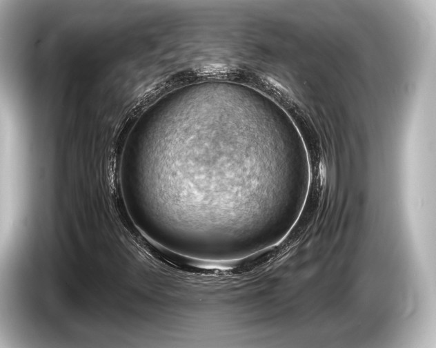X0000085751348200703161045