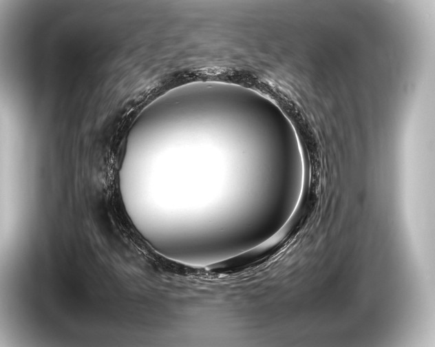 X0000085751349200703161045