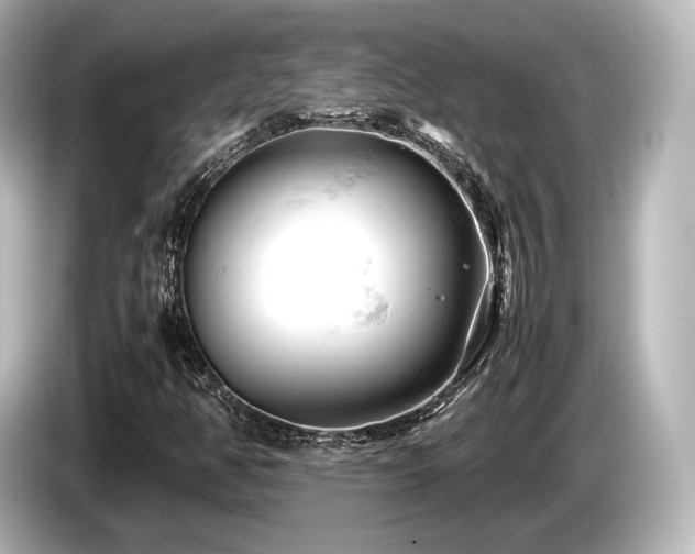 X0000085751350200703161045