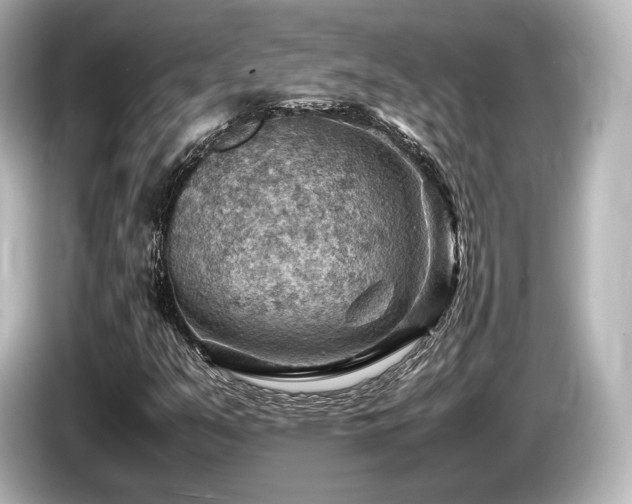 X0000085751351200703161045