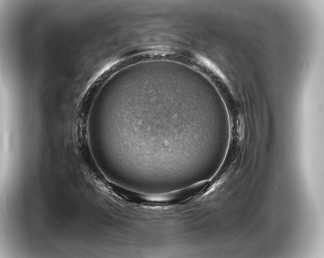 X0000085751352200703161045