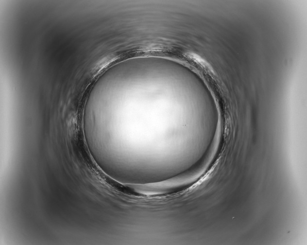 X0000085751353200703161045