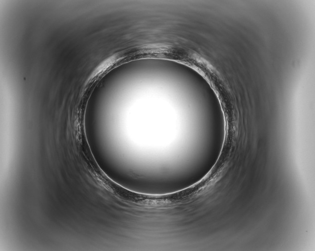 X0000085751354200703161045