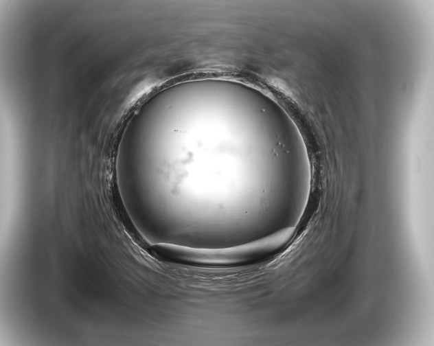 X0000085751355200703161045