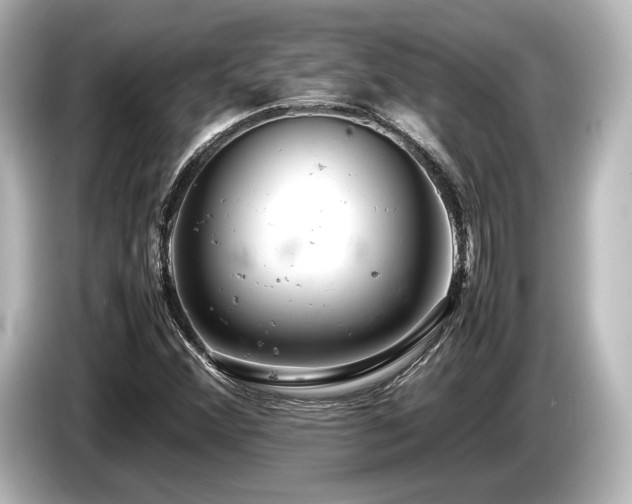 X0000085751356200703161045