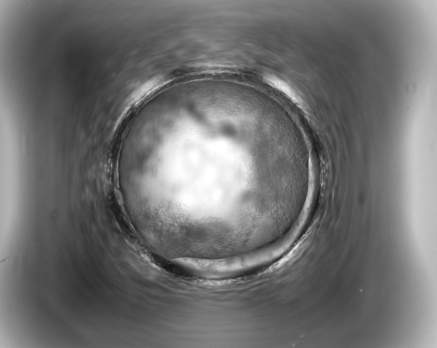 X0000085751357200703161045