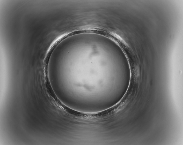 X0000085751358200703161045