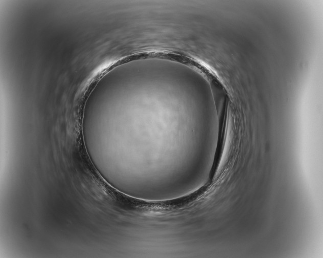 X0000085751359200703161045