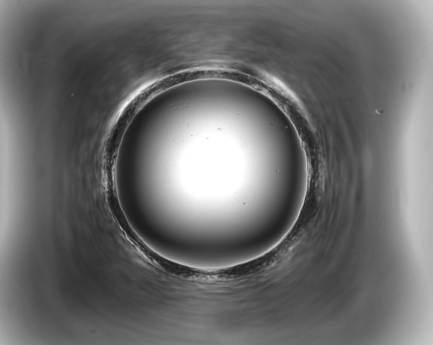 X0000085751360200703161045