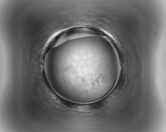 X0000085751363200703161045
