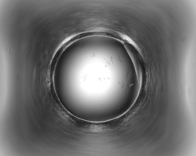 X0000085751364200703161044