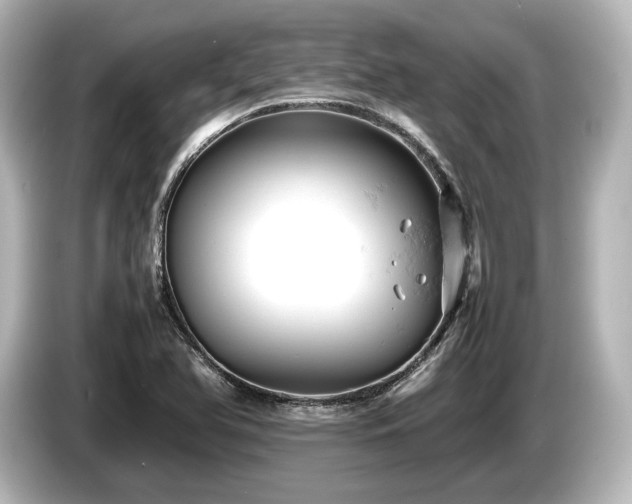 X0000085751366200703161044