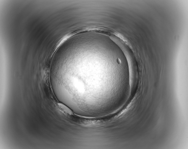 X0000085751369200703161044