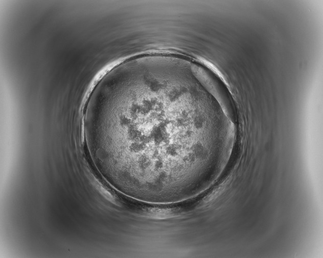 X0000085751371200703161044