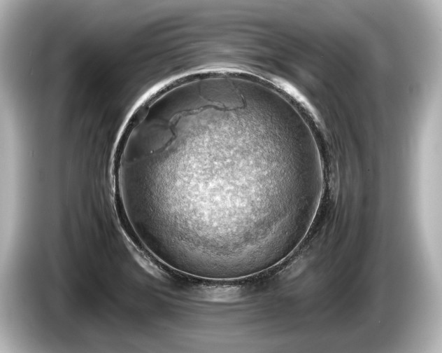 X0000085751372200703161044