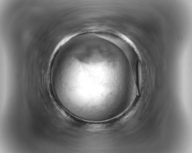 X0000085751373200703161044