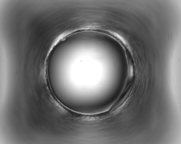 X0000085751374200703161044