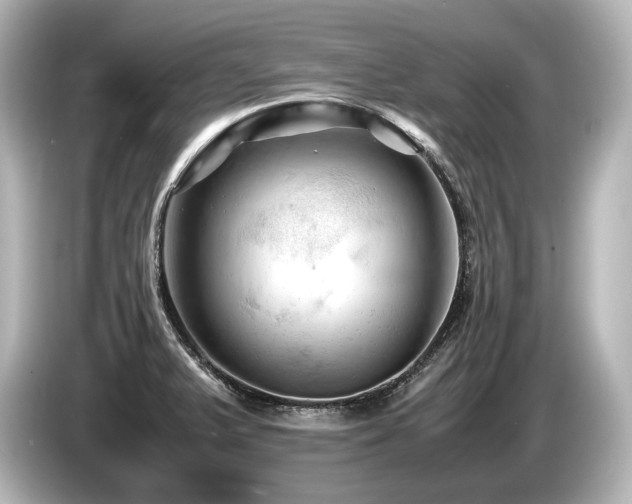 X0000085751375200703161044