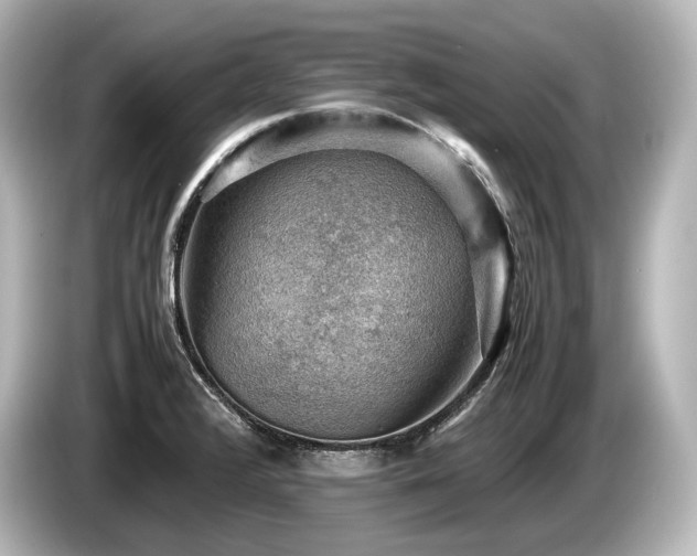 X0000085751376200703161044