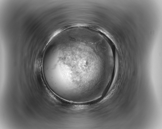 X0000085751377200703161044