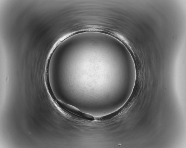 X0000085751379200703161044