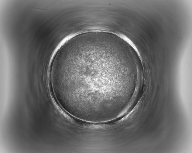 X0000085751381200703161044