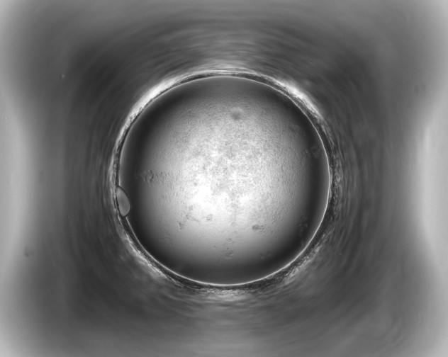 X0000085751382200703161044