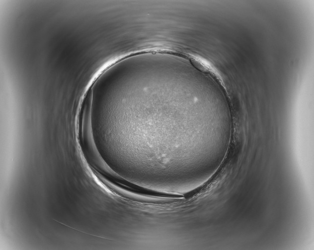 X0000085751383200703161044