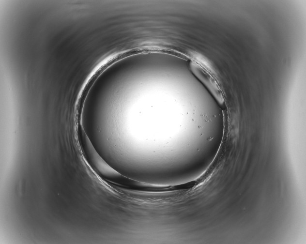 X0000085751384200703161044