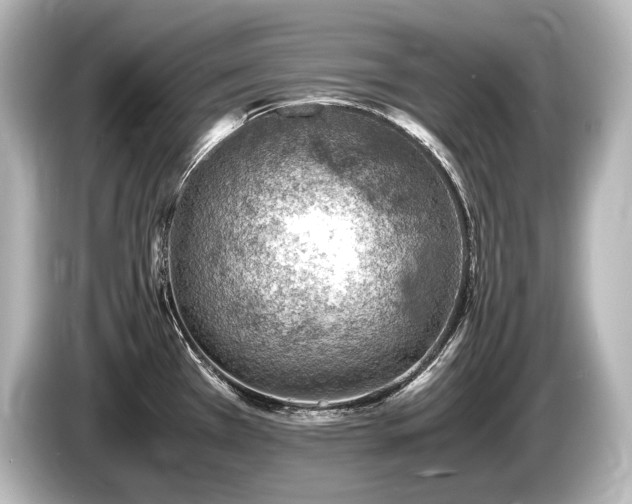 X0000085751385200703161044
