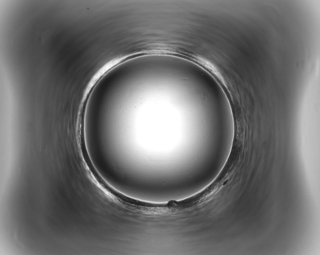 X0000085751387200703161044