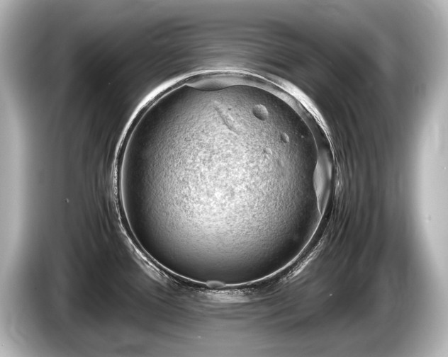 X0000085751388200703161044