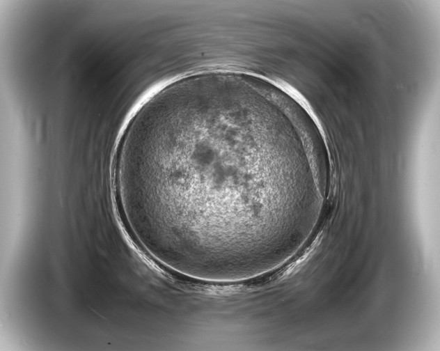 X0000085751389200703161044