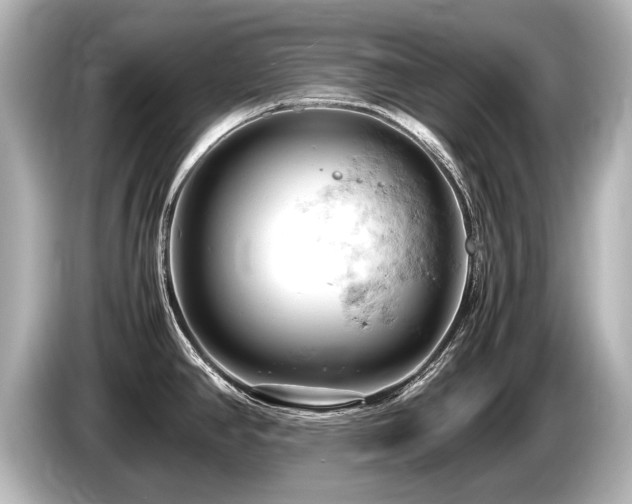 X0000085751390200703161044
