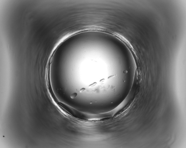 X0000085751391200703161044