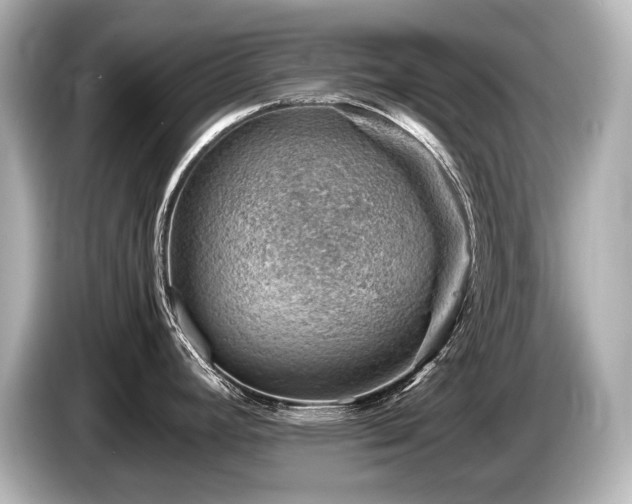 X0000085751392200703161044