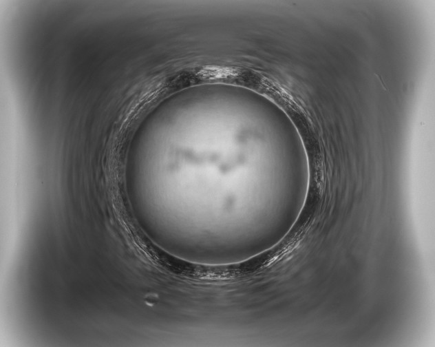 X0000085751393200703161043