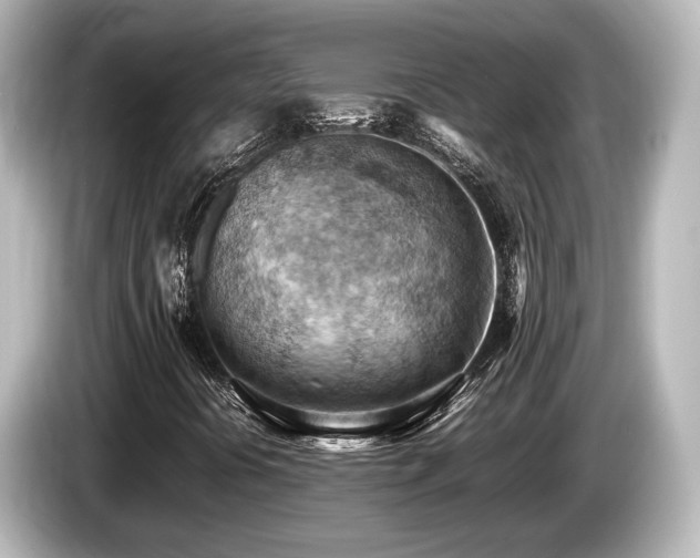 X0000085751394200703161043