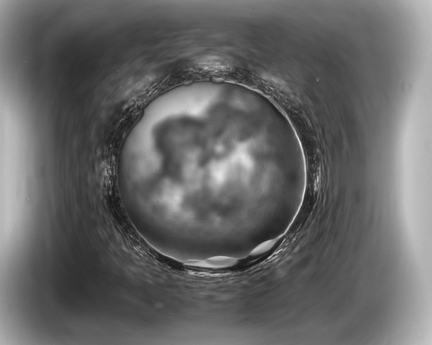 X0000085751397200703161043