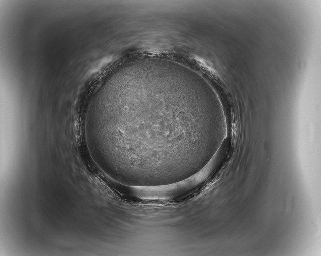 X0000085751398200703161043