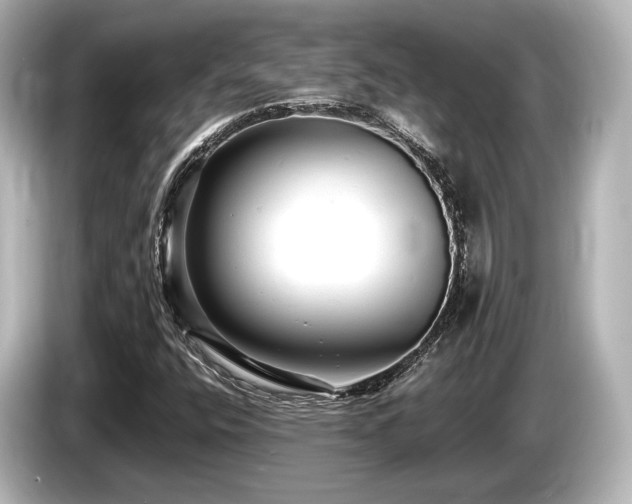 X0000085751400200703161044